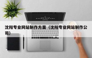 兰州沈阳专业网站制作方案（沈阳专业网站制作公司）